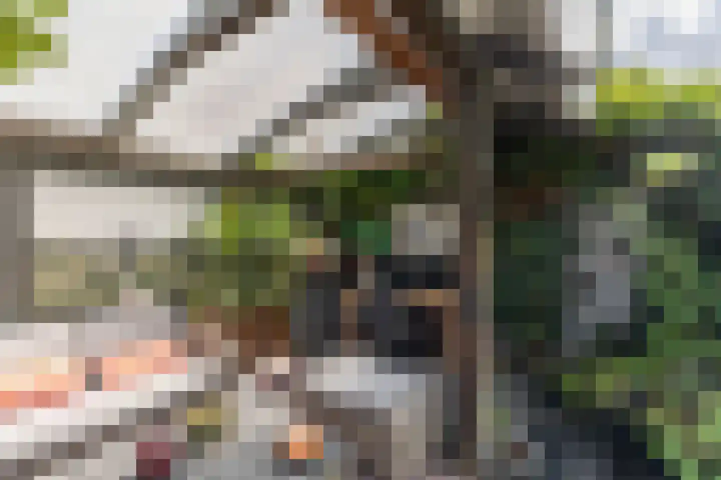 Zeearend 2 Heerhugowaard thumbnail 51