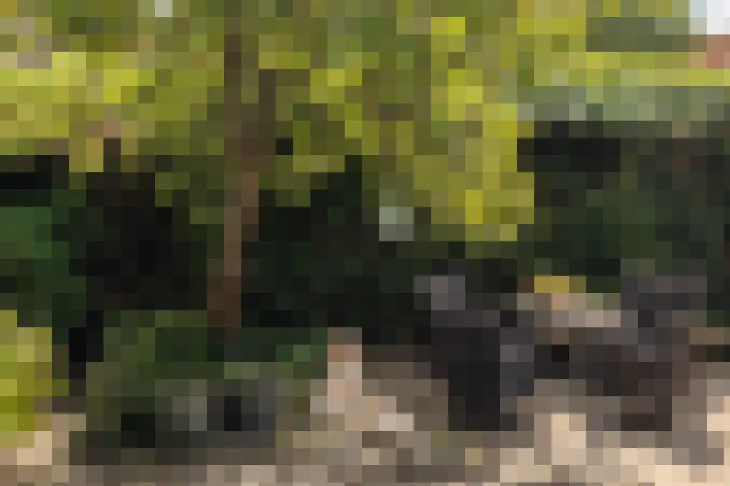 Zeearend 2 Heerhugowaard thumbnail 52