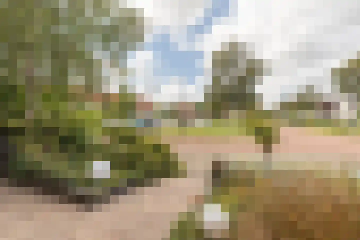 Zeearend 2 Heerhugowaard thumbnail 53