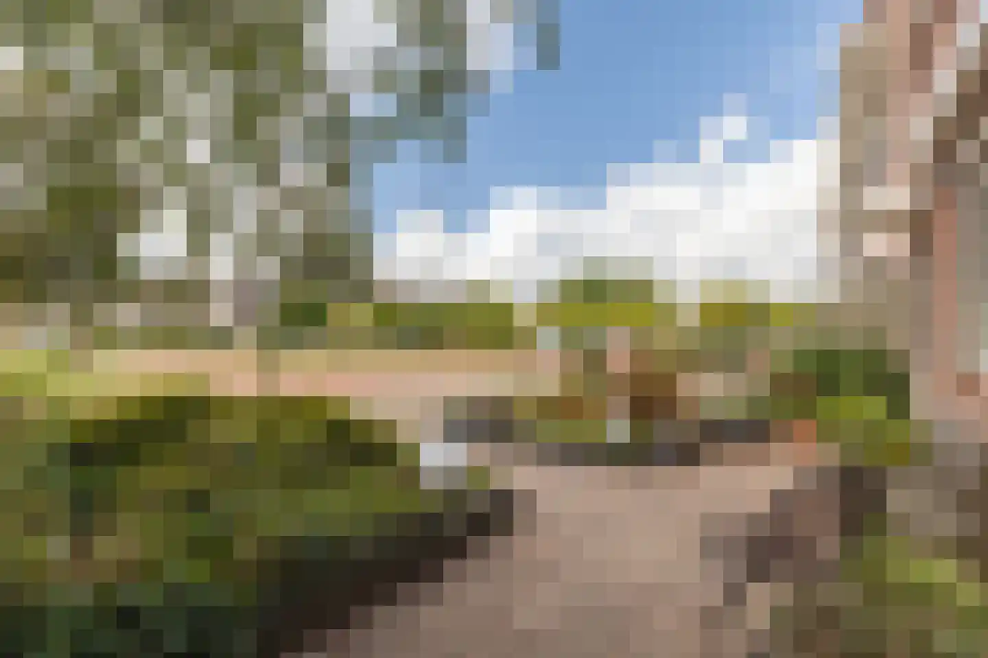 Zeearend 2 Heerhugowaard thumbnail 54
