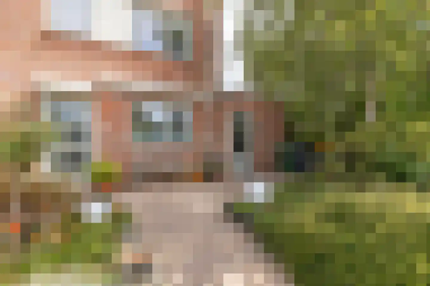 Zeearend 2 Heerhugowaard thumbnail 56