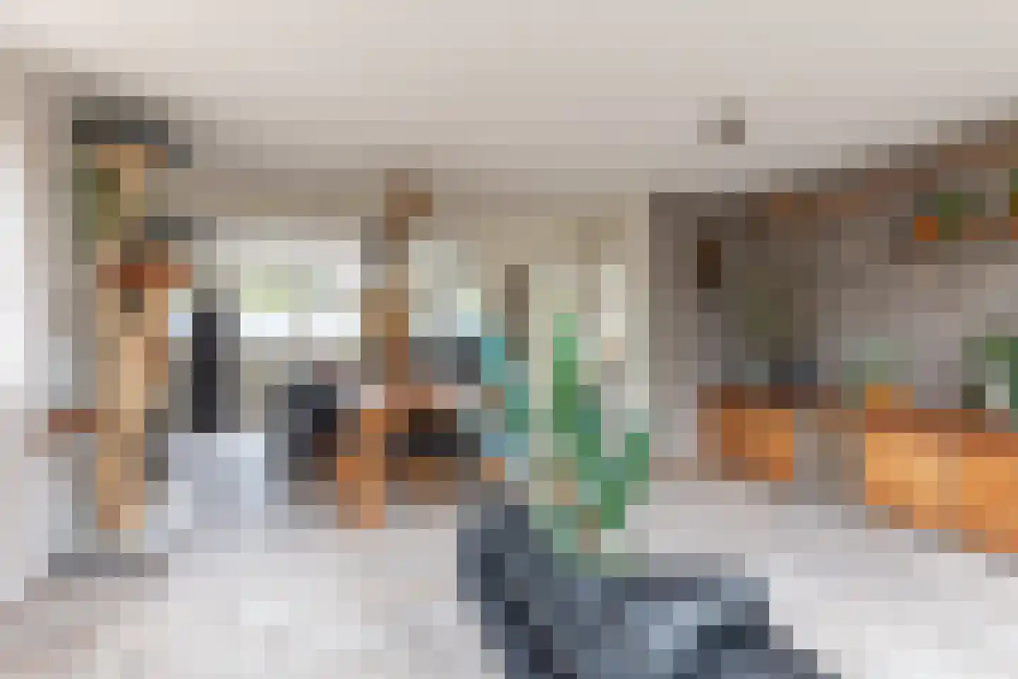 Zeearend 2 Heerhugowaard thumbnail 6
