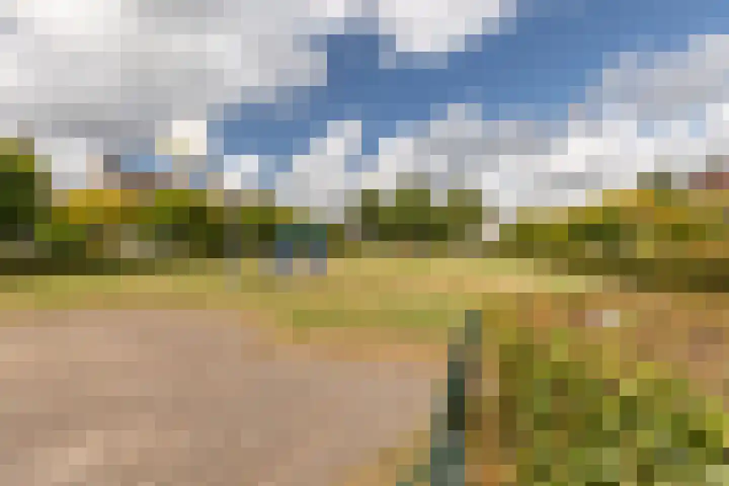 Zeearend 2 Heerhugowaard thumbnail 60