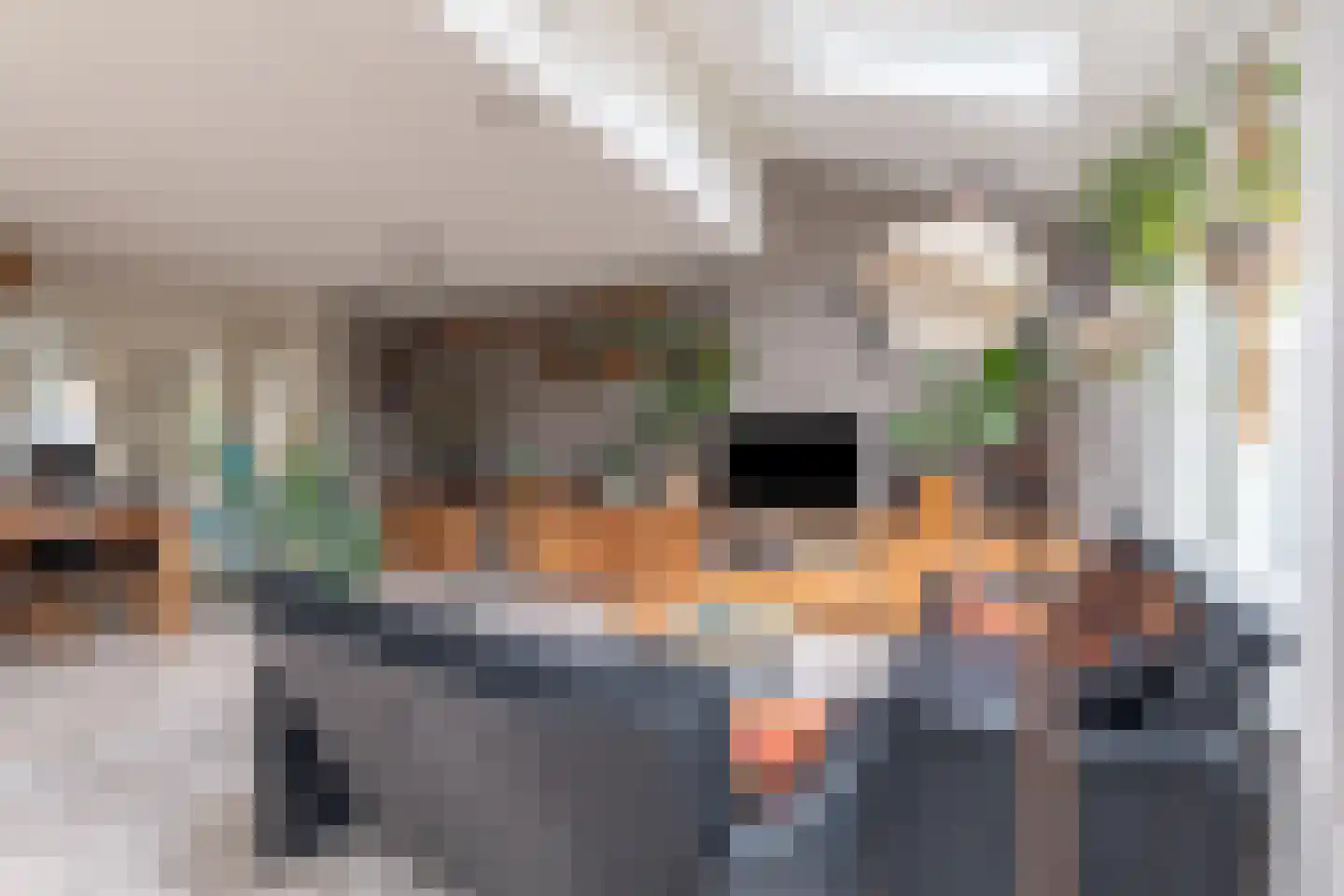 Zeearend 2 Heerhugowaard thumbnail 7