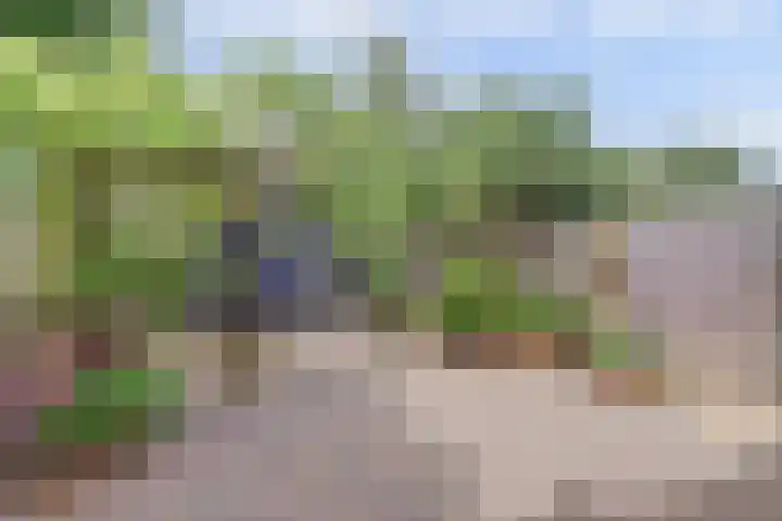 Zeearend 24 Monster thumbnail 19