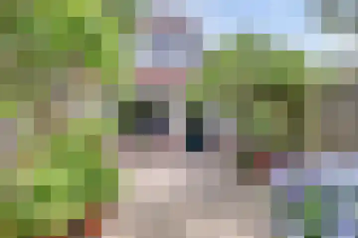 Zeearend 24 Monster thumbnail 21