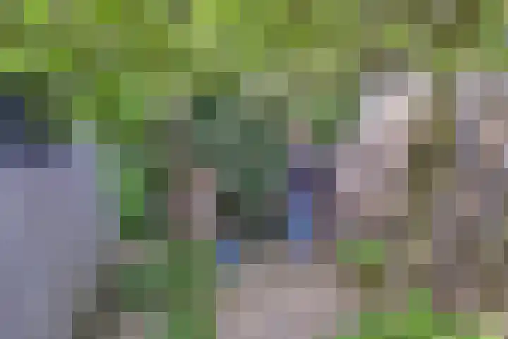 Zeearend 24 Monster thumbnail 22
