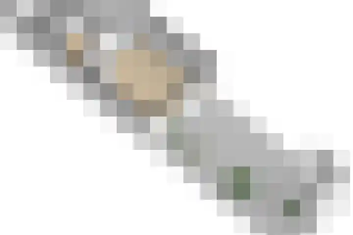 Zeearend 24 Monster thumbnail 37