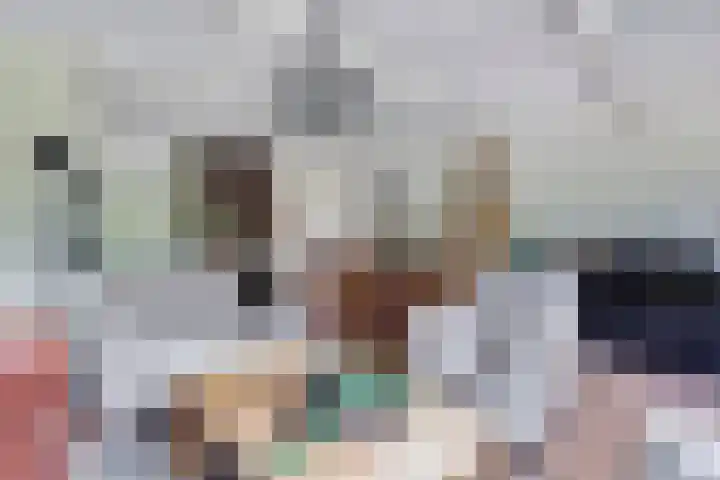 Zeearend 24 Monster thumbnail 6