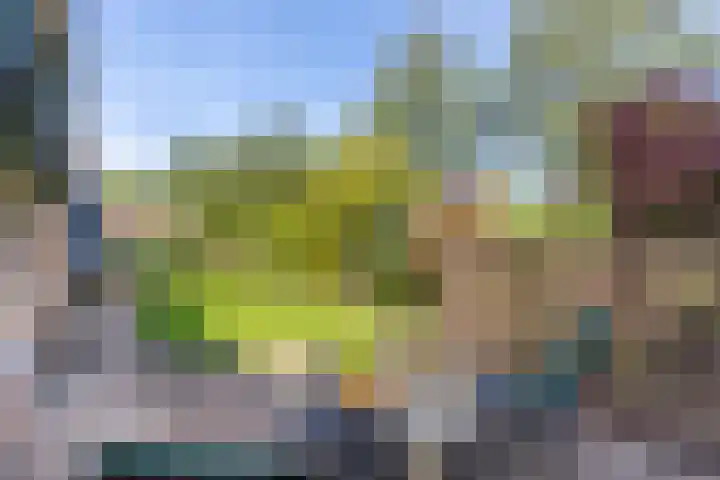 Zeearend 3 Nieuwegein thumbnail 13