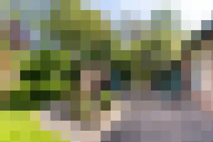 Zeearend 3 Nieuwegein thumbnail 14