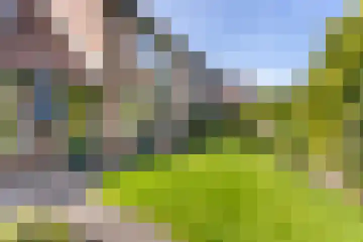 Zeearend 3 Nieuwegein thumbnail 15