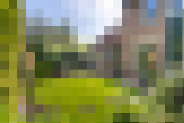 Zeearend 3 Nieuwegein thumbnail 16