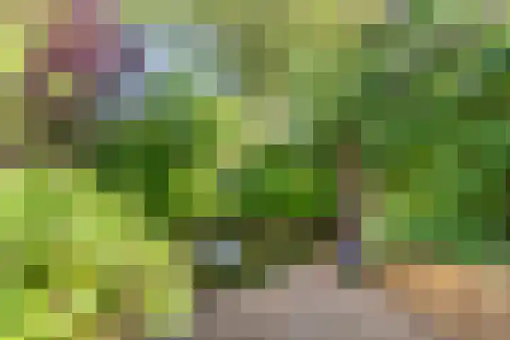 Zeearend 3 Nieuwegein thumbnail 17
