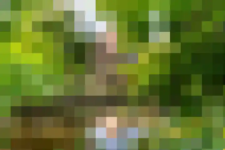 Zeearend 3 Nieuwegein thumbnail 18