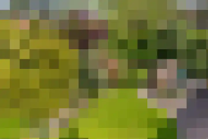Zeearend 3 Nieuwegein thumbnail 19