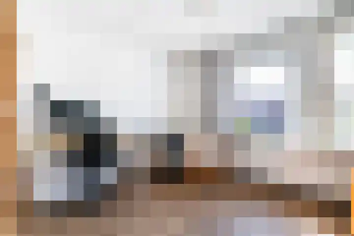 Zeearend 3 Nieuwegein thumbnail 25