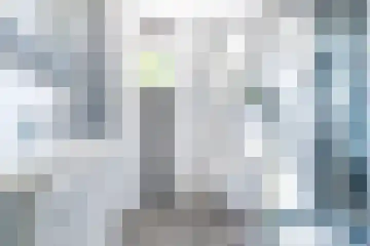 Zeearend 3 Nieuwegein thumbnail 27