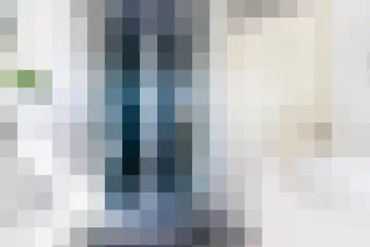 Zeearend 3 Nieuwegein thumbnail 28