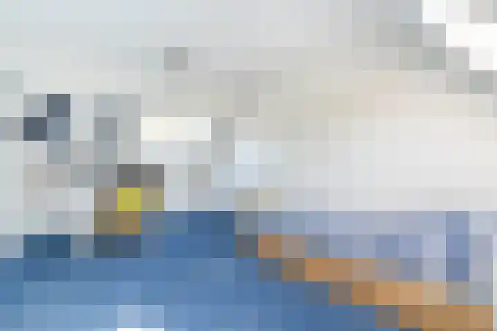 Zeearend 3 Nieuwegein thumbnail 30