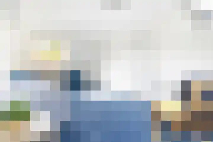 Zeearend 3 Nieuwegein thumbnail 31