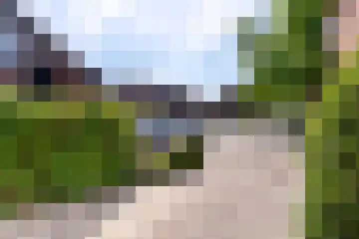 Zeearend 3 Nieuwegein thumbnail 37