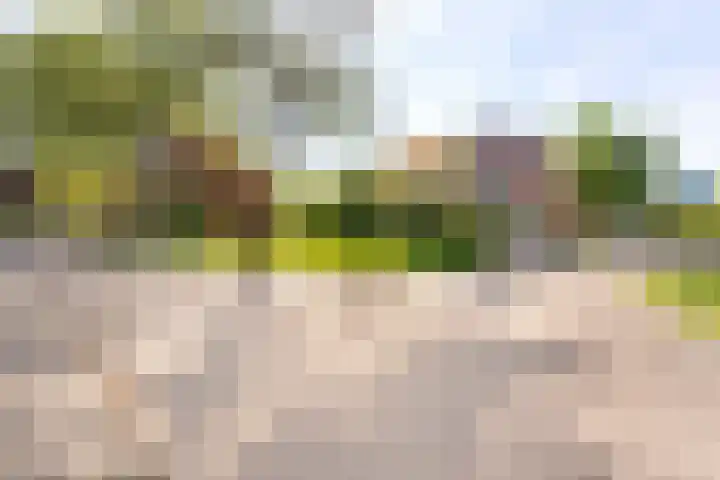 Zeearend 3 Nieuwegein thumbnail 39