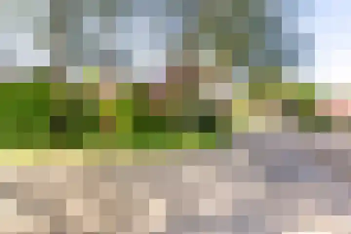 Zeearend 3 Nieuwegein thumbnail 40