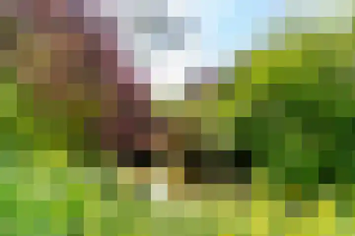 Zeearend 3 Nieuwegein thumbnail 41