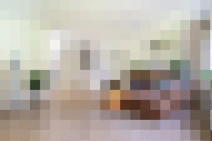 Zeearend 3 Nieuwegein thumbnail 5