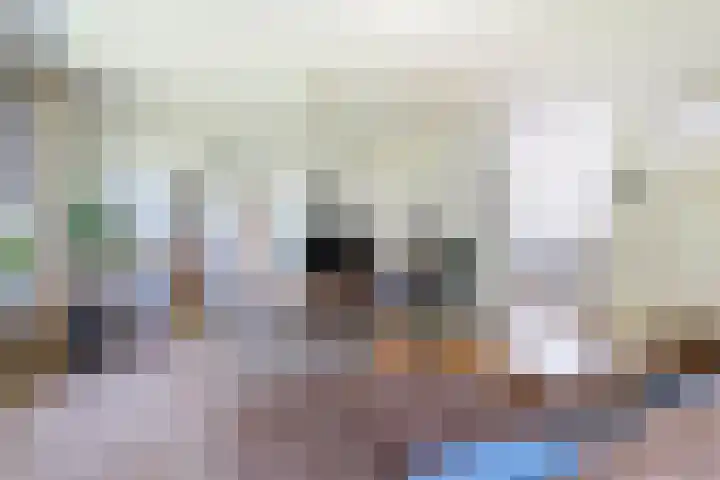 Zeearend 3 Nieuwegein thumbnail 6