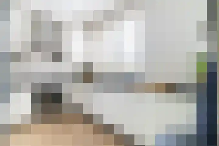Zeearend 3 Nieuwegein thumbnail 7