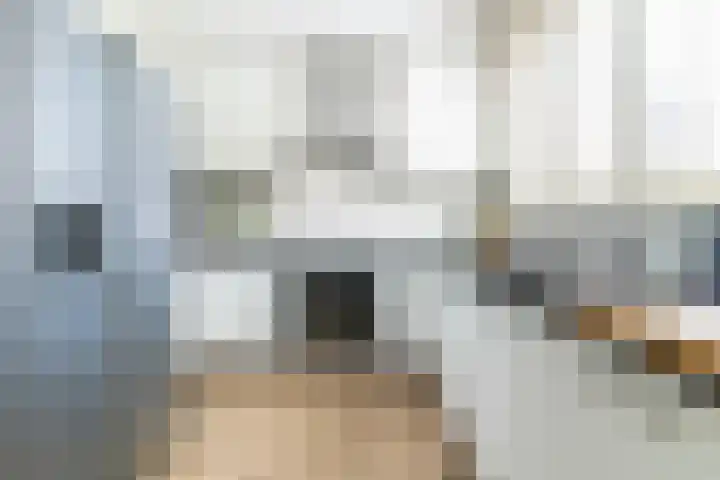 Zeearend 3 Nieuwegein thumbnail 8