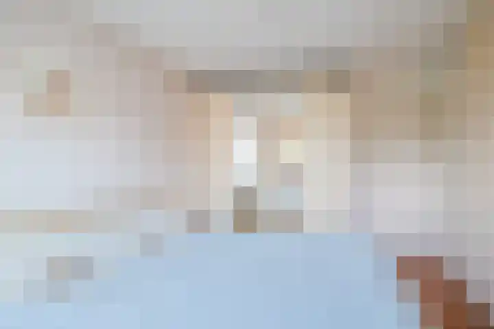 Zeearend 38 Heerhugowaard thumbnail 17