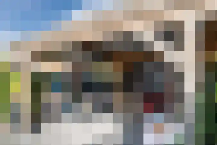 Zeearend 38 Heerhugowaard thumbnail 27