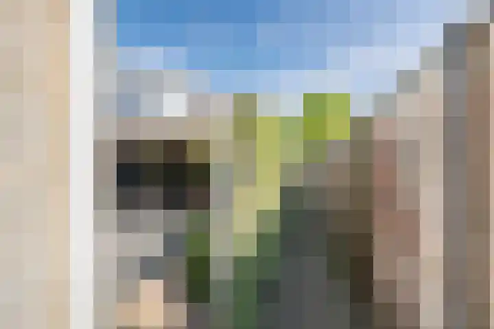 Zeearend 38 Heerhugowaard thumbnail 28