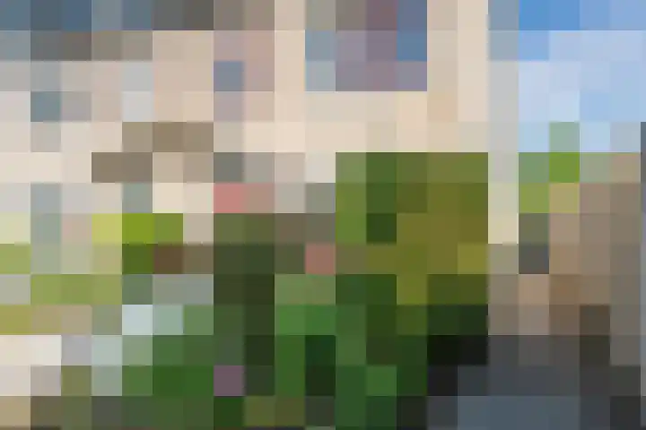 Zeearend 38 Heerhugowaard thumbnail 29