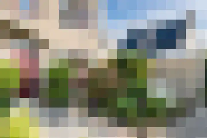 Zeearend 38 Heerhugowaard thumbnail 30
