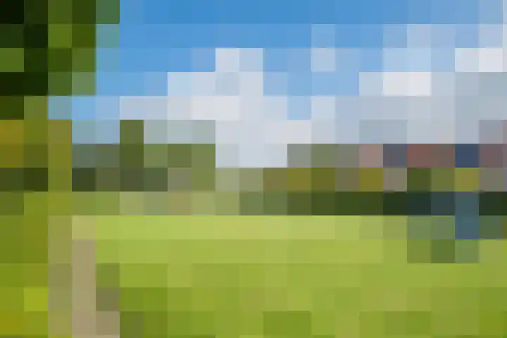 Zeearend 38 Heerhugowaard thumbnail 32