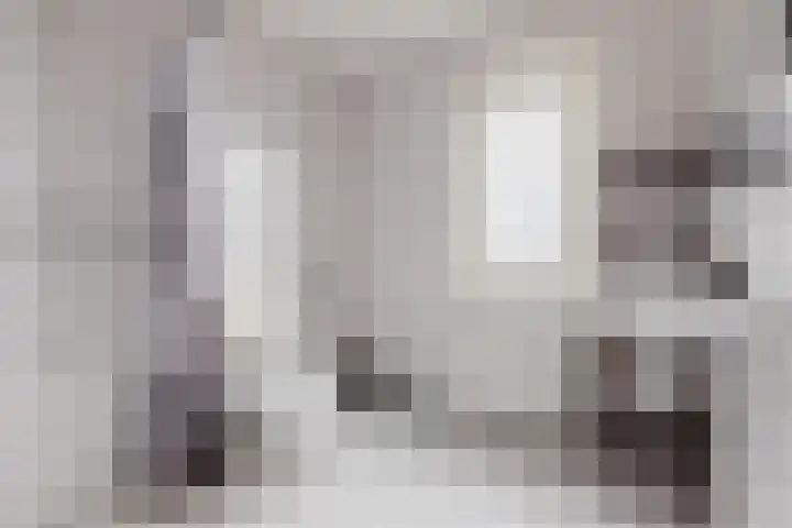 Zeearend 64 Heerhugowaard thumbnail 25