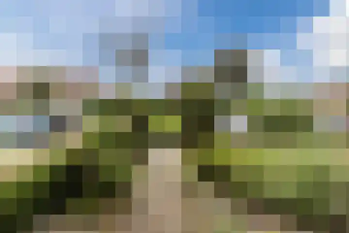 Zeearend 64 Heerhugowaard thumbnail 30