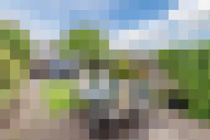 Zeearend 64 Heerhugowaard thumbnail 31