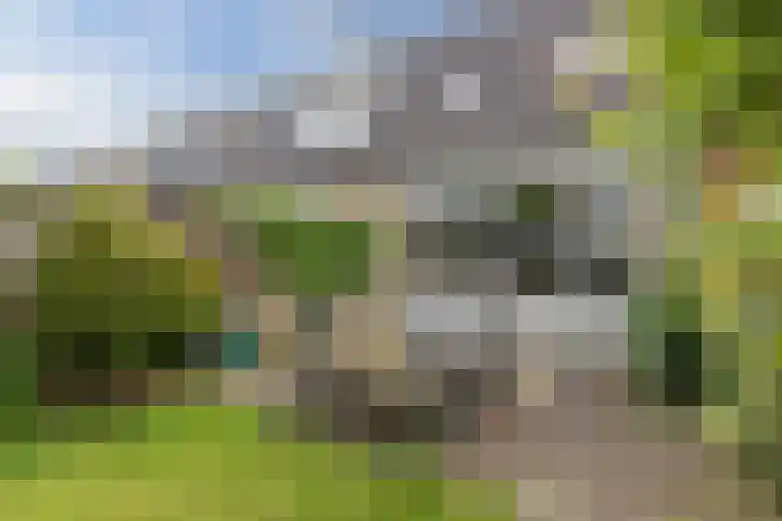 Zeearend 64 Heerhugowaard thumbnail 32