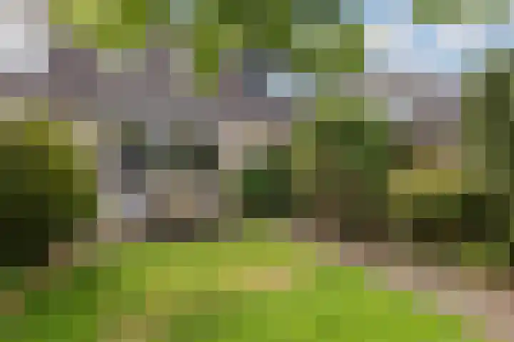 Zeearend 64 Heerhugowaard thumbnail 33