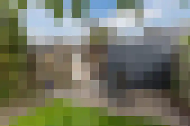 Zeearend 64 Heerhugowaard thumbnail 34