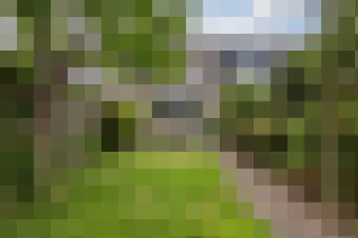 Zeearend 64 Heerhugowaard thumbnail 35