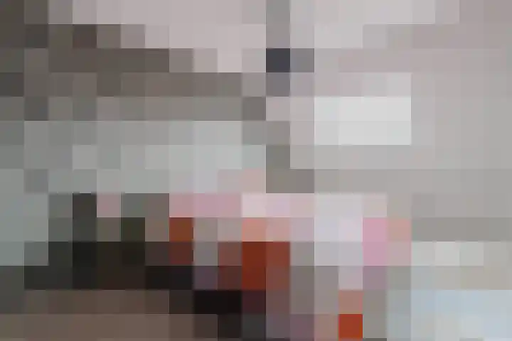 Zeearend 64 Heerhugowaard thumbnail 5
