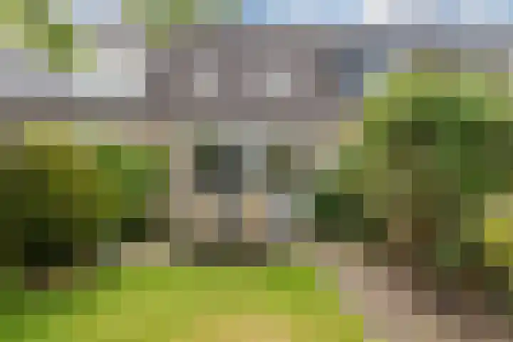 Zeearend 64 Heerhugowaard thumbnail 6