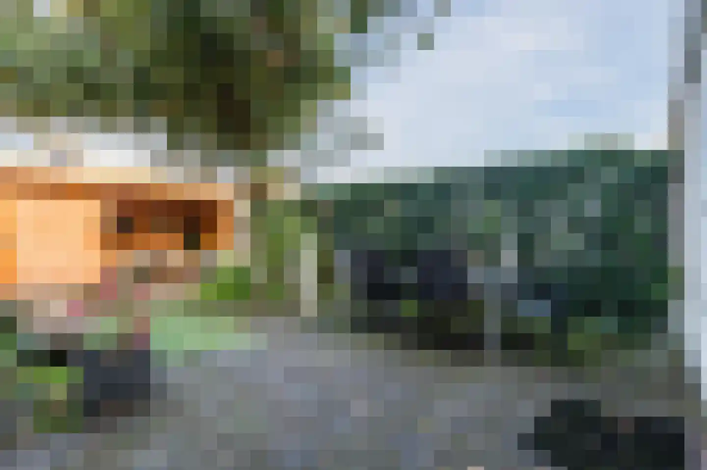 Zeearend 70 Heerhugowaard thumbnail 42