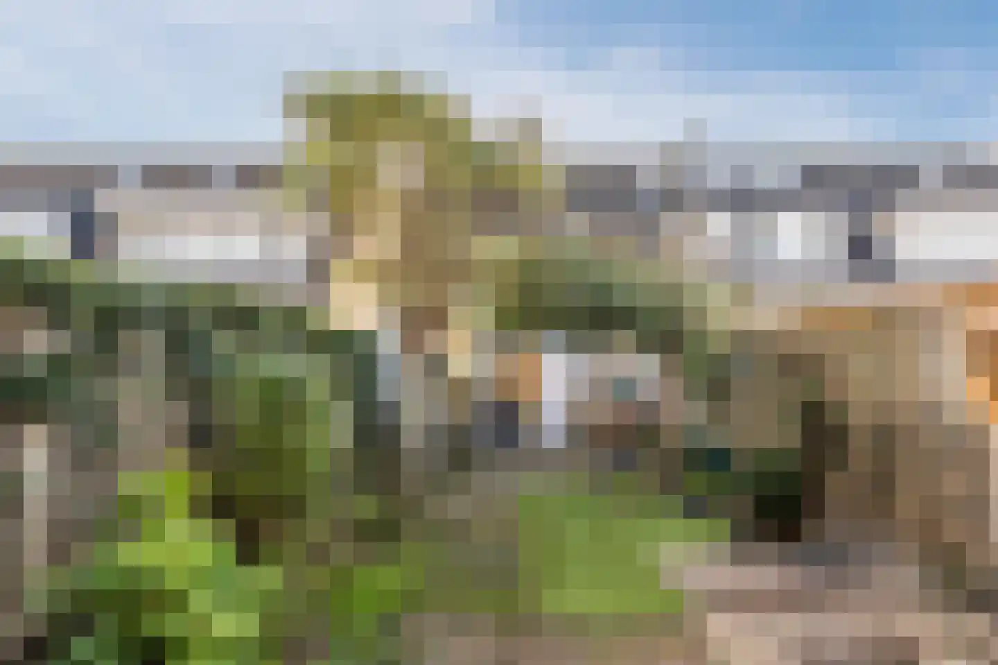 Zeearend 70 Heerhugowaard thumbnail 49